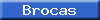 click for Brocas Family